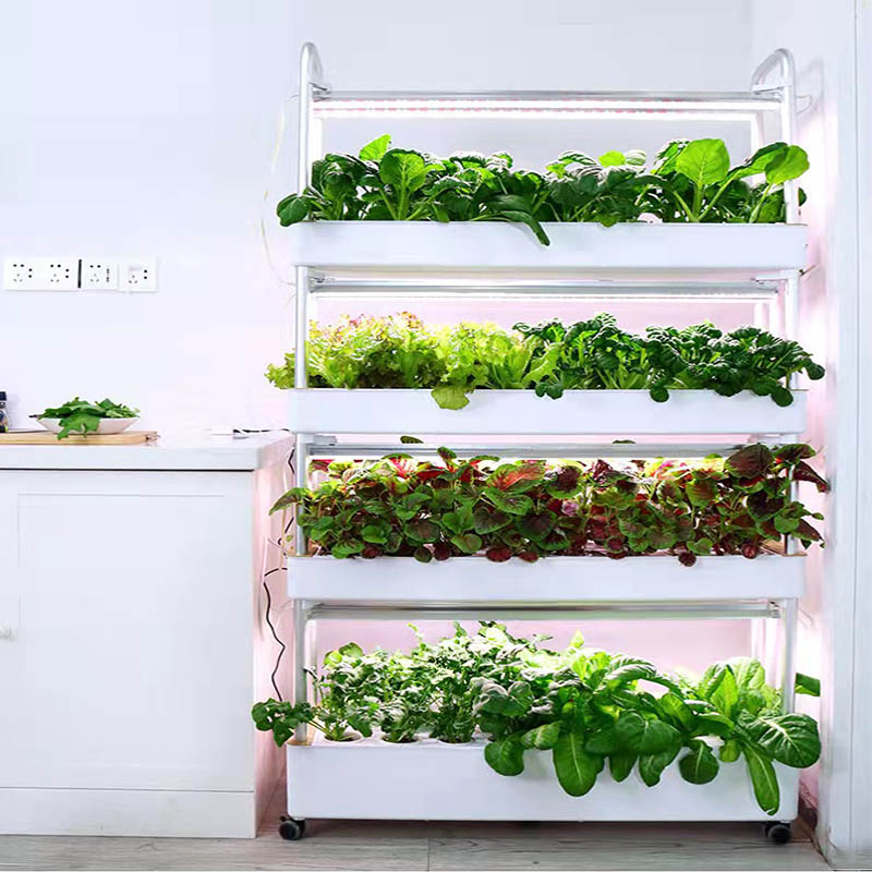 System hydroponiczny do uprawy – Home Automation System Diy recenzja i cena