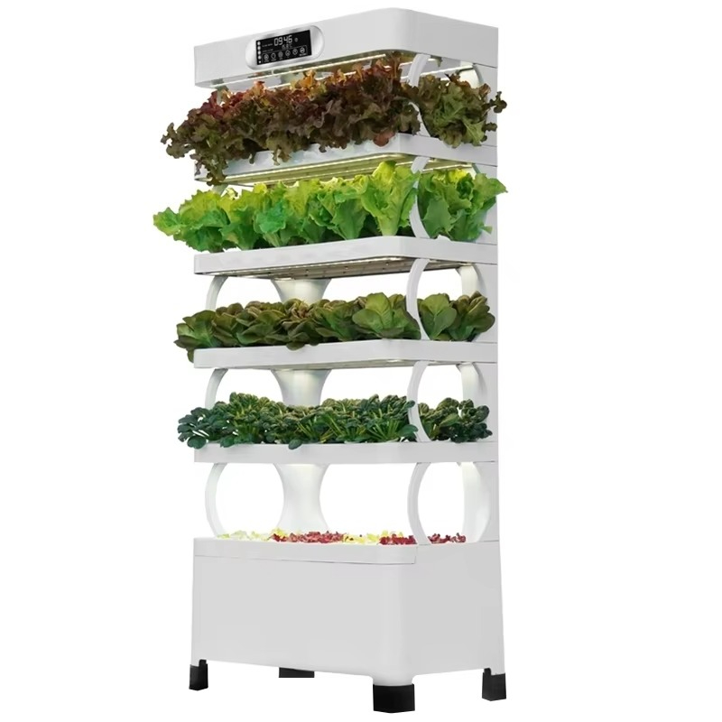 Automatyczny system hydroponic – Home Automation System Diy recenzja i cena