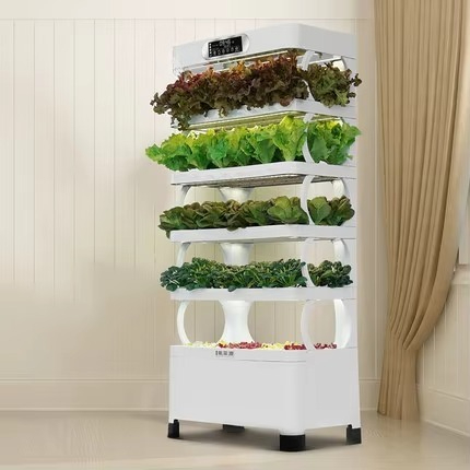 Automatyczny system hydroponic – Home Automation System Diy recenzja i cena