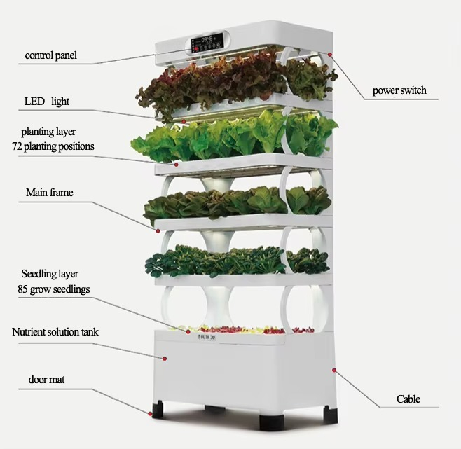 Automatyczny system hydroponic – Home Automation System Diy recenzja i cena